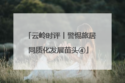 云岭时评丨警惕旅居同质化发展苗头④