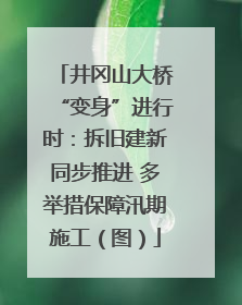 井冈山大桥“变身”进行时：拆旧建新同步推进 多举措保障汛期施工（图）