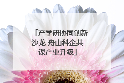 产学研协同创新沙龙 舟山科企共谋产业升级