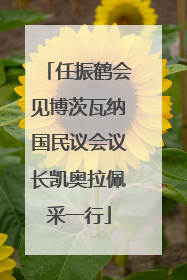 任振鹤会见博茨瓦纳国民议会议长凯奥拉佩采一行