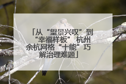 从“望景兴叹”到“幸福样板” 杭州余杭网格“十能”巧解治理难题