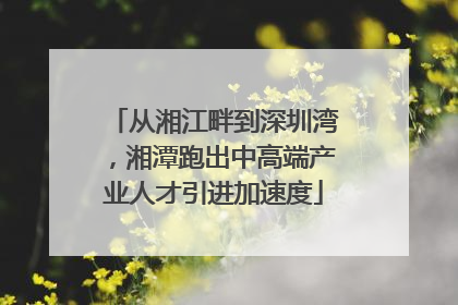 从湘江畔到深圳湾，湘潭跑出中高端产业人才引进加速度
