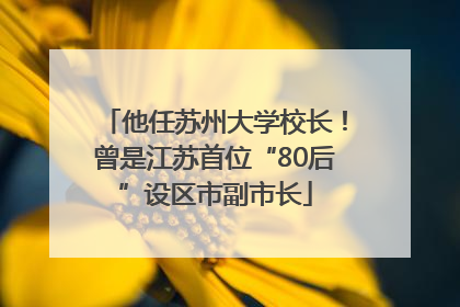 他任苏州大学校长！曾是江苏首位“80后”设区市副市长