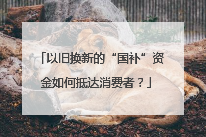 以旧换新的“国补”资金如何抵达消费者？