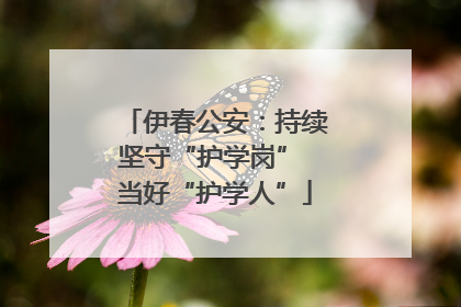 伊春公安：持续坚守“护学岗” 当好“护学人”