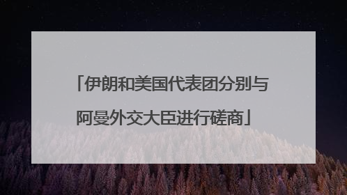 伊朗和美国代表团分别与阿曼外交大臣进行磋商