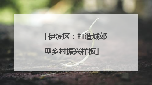 伊滨区：打造城郊型乡村振兴样板