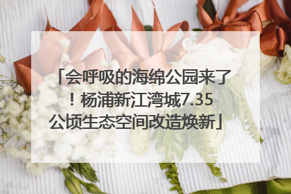 会呼吸的海绵公园来了！杨浦新江湾城7.35公顷生态空间改造焕新