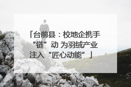 台前县：校地企携手“链”动 为羽绒产业注入“匠心动能”