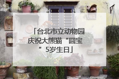 台北市立动物园庆祝大熊猫“圆宝”5岁生日
