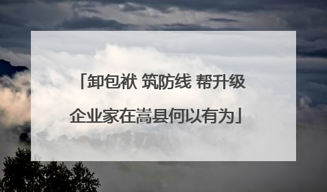 卸包袱 筑防线 帮升级 企业家在嵩县何以有为