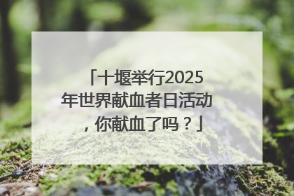 十堰举行2025年世界献血者日活动，你献血了吗？