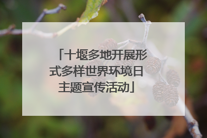 十堰多地开展形式多样世界环境日主题宣传活动