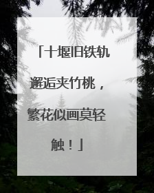 十堰旧铁轨邂逅夹竹桃，繁花似画莫轻触！