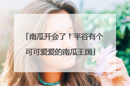 南瓜开会了！平谷有个可可爱爱的南瓜王国