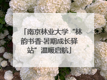 南京林业大学“林韵书香·暑期成长驿站”温暖启航
