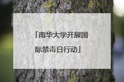 南华大学开展国际禁毒日行动