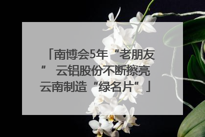 南博会5年“老朋友” 云铝股份不断擦亮云南制造“绿名片”