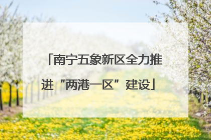 南宁五象新区全力推进“两港一区”建设
