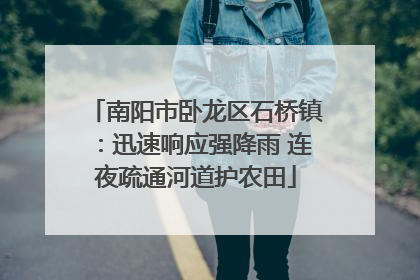 南阳市卧龙区石桥镇：迅速响应强降雨 连夜疏通河道护农田