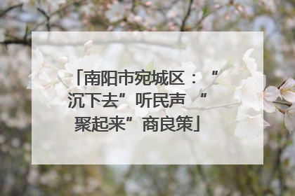 南阳市宛城区：“沉下去”听民声 “聚起来”商良策