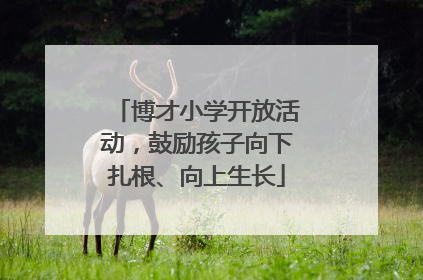 博才小学开放活动，鼓励孩子向下扎根、向上生长