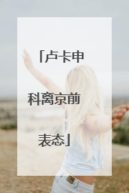 卢卡申科离京前表态