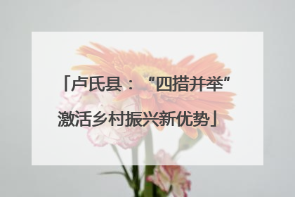 卢氏县：“四措并举”激活乡村振兴新优势