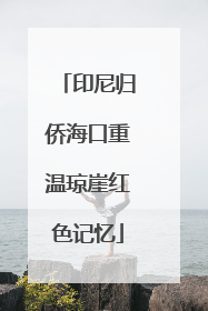 印尼归侨海口重温琼崖红色记忆
