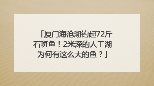 厦门海沧湖钓起72斤石斑鱼！2米深的人工湖为何有这么大的鱼？