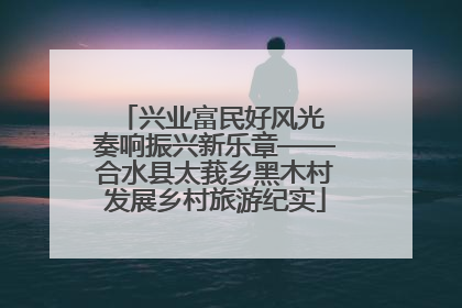 兴业富民好风光 奏响振兴新乐章——合水县太莪乡黑木村发展乡村旅游纪实