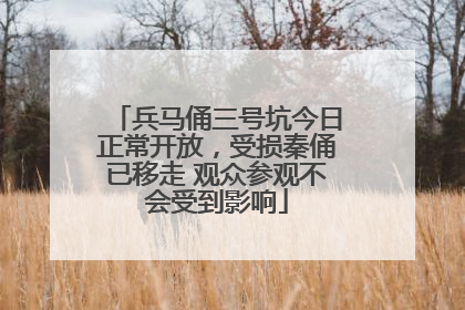 兵马俑三号坑今日正常开放，受损秦俑已移走 观众参观不会受到影响