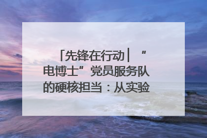 先锋在行动 ▏“电博士”党员服务队的硬核担当：从实验室到抗洪一线