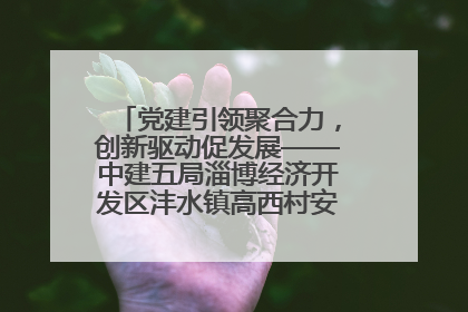 党建引领聚合力，创新驱动促发展——中建五局淄博经济开发区沣水镇高西村安置项目建设纪实