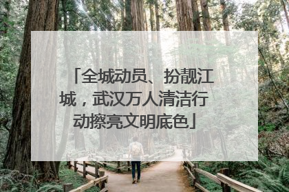 全城动员、扮靓江城，武汉万人清洁行动擦亮文明底色