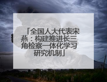 全国人大代表宋燕：构建推进长三角检察一体化学习研究机制
