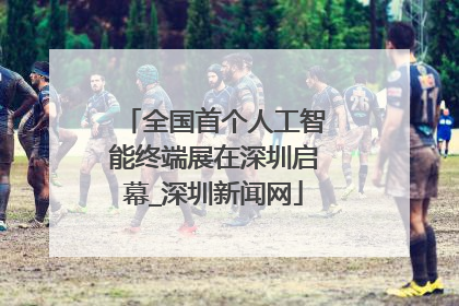 全国首个人工智能终端展在深圳启幕_深圳新闻网