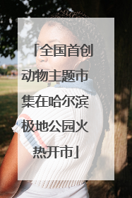 全国首创动物主题市集在哈尔滨极地公园火热开市