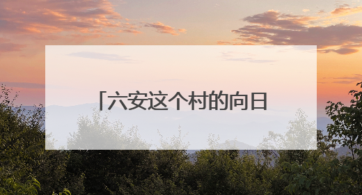 六安这个村的向日葵成花市“宠儿”