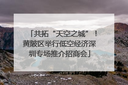 共拓“天空之城”！黄陂区举行低空经济深圳专场推介招商会