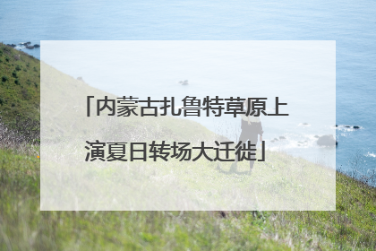 内蒙古扎鲁特草原上演夏日转场大迁徙