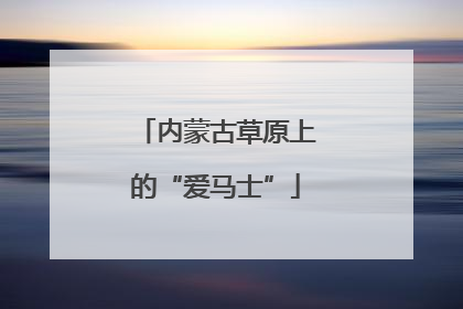 内蒙古草原上的“爱马士”