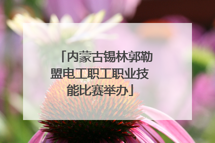 内蒙古锡林郭勒盟电工职工职业技能比赛举办