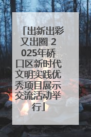 出新出彩又出圈 2025年硚口区新时代文明实践优秀项目展示交流活动举行
