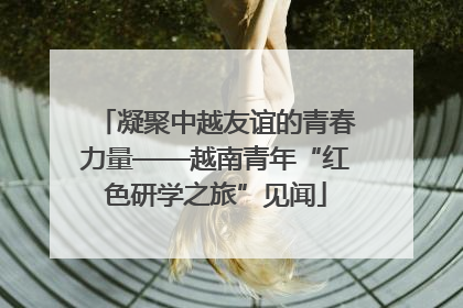 凝聚中越友谊的青春力量——越南青年“红色研学之旅”见闻