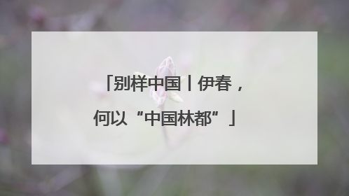 别样中国丨伊春，何以“中国林都”