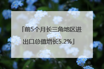 前5个月长三角地区进出口总值增长5.2%