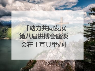 助力共同发展 第八届进博会座谈会在土耳其举办