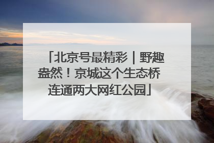 北京号最精彩｜野趣盎然！京城这个生态桥连通两大网红公园
