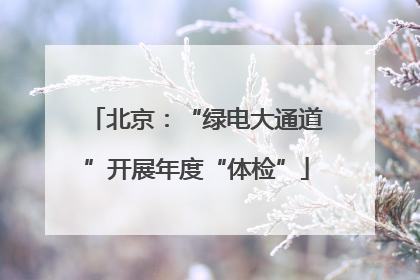 北京：“绿电大通道”开展年度“体检”